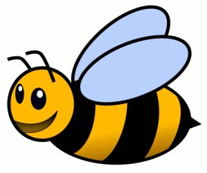 Cover photo for How Will Dying Honeybees Affect My Life?