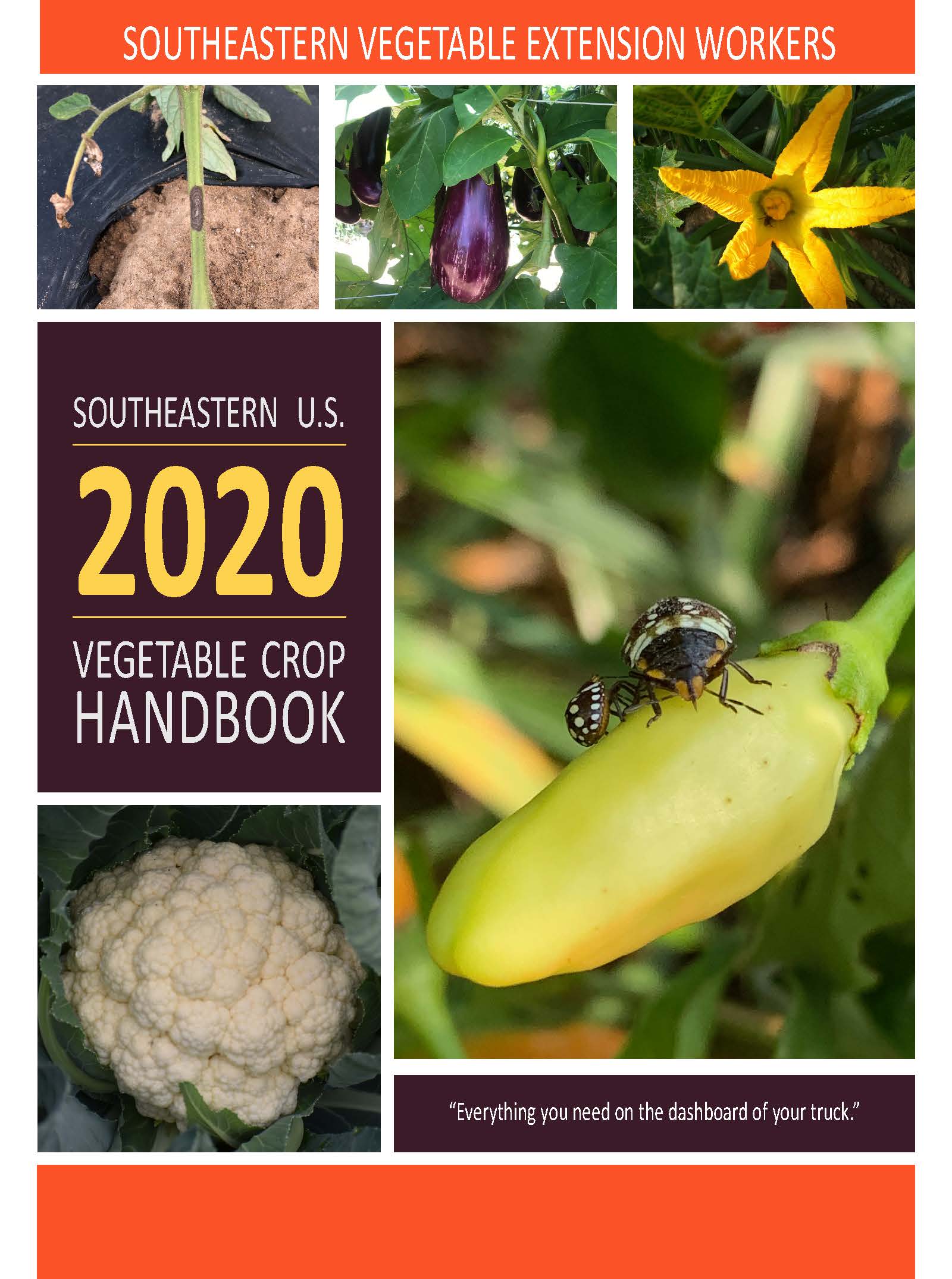 2020 Vegetable Crop Handbook