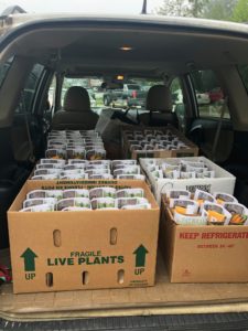 Seed Distribution