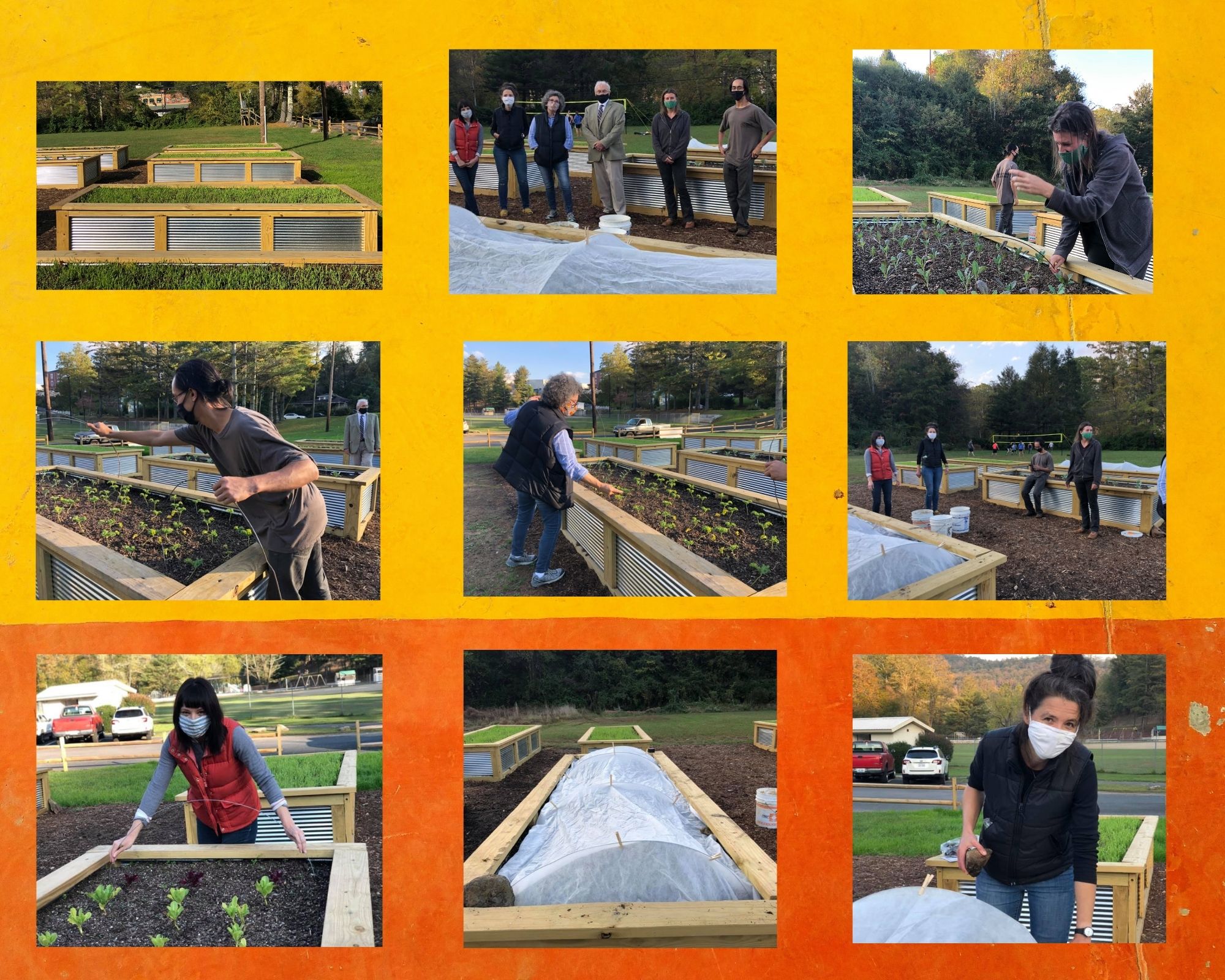 Giving Garden volunteers collage