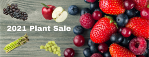 2021 Plant Sale