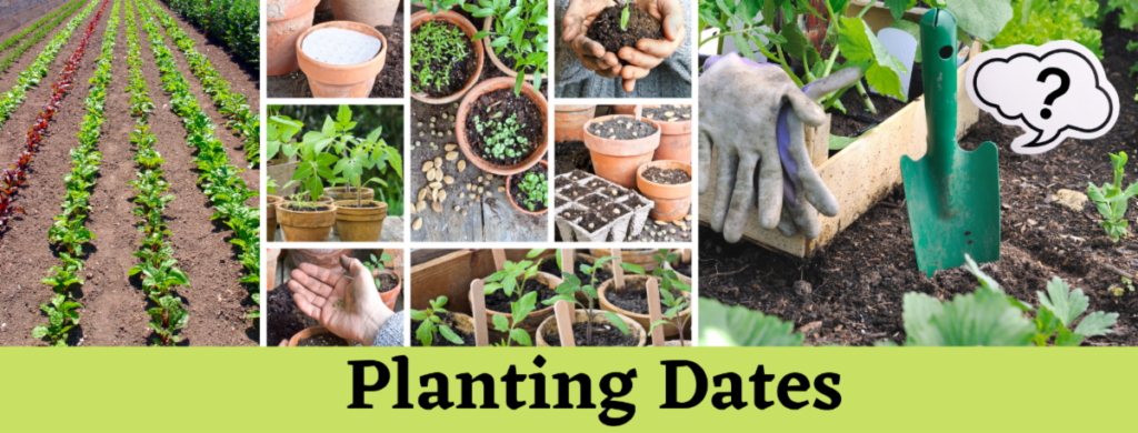 Planting Dates Picture