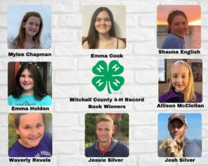 Project Record Winners Collage