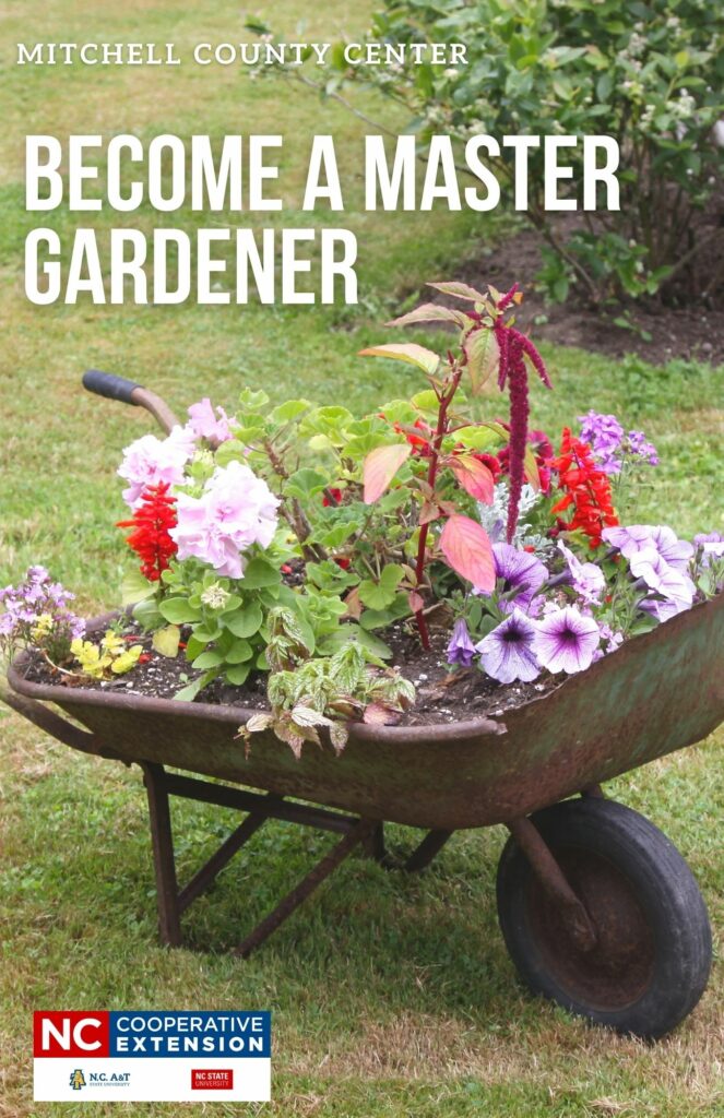 Master Gardener Flyer
