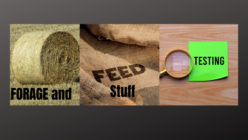 Hay bale, feed bags, and magnifying glass