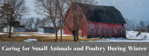 Cover photo for Caring for Small Animals and Poultry During Winter