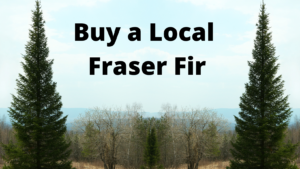 Cover photo for Buy a Local Fraser Fir