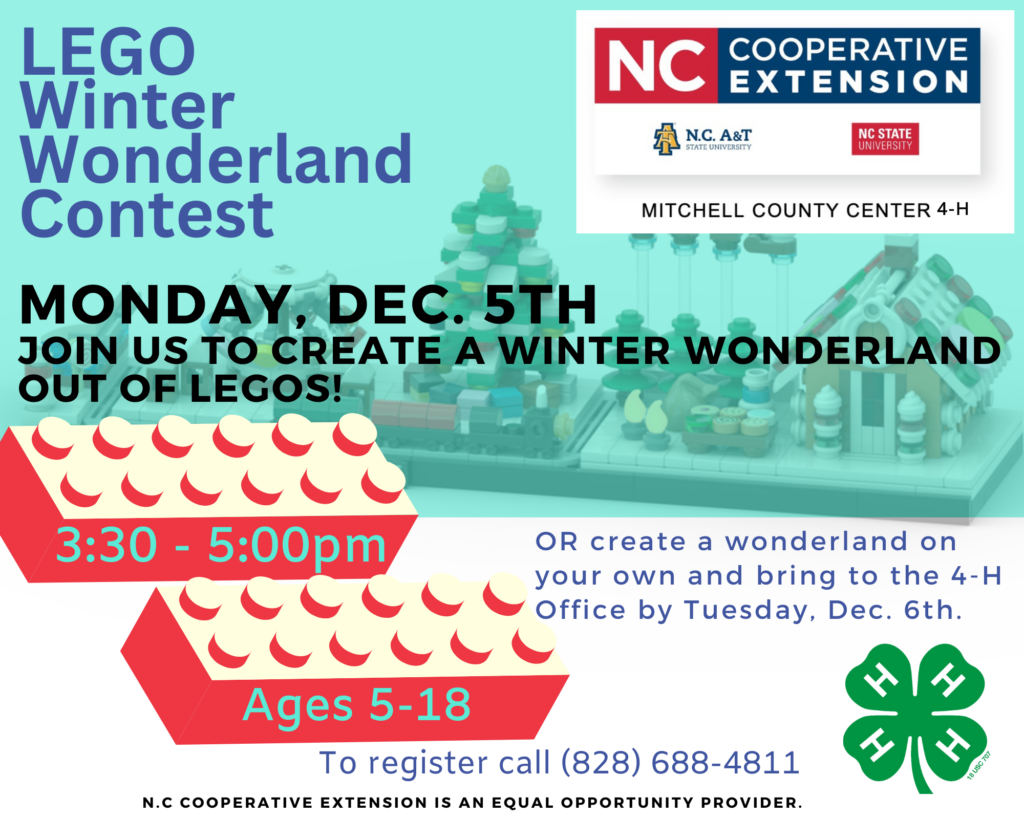 LEGO contest flier