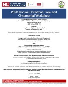 Cover photo for Avery/Mitchell Annual Christmas Tree and Ornamental Workshop