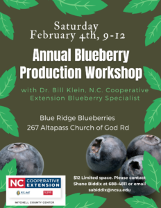 Cover photo for Mitchell Extension Annual Blueberry Workshop