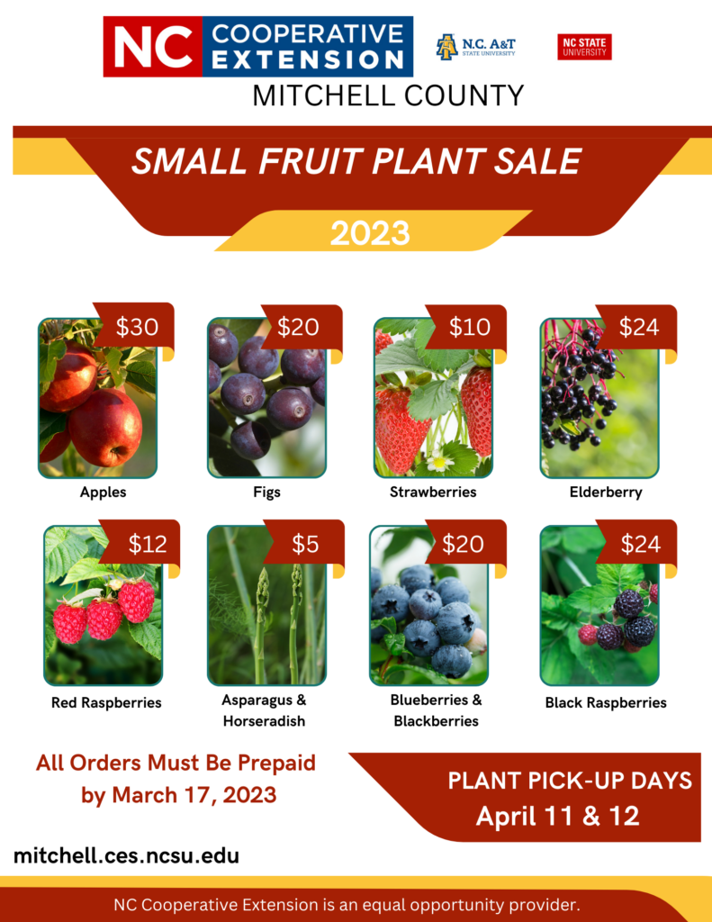 Small Fruit Plant Sale  N.C. Cooperative Extension