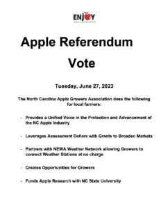 Cover photo for Apple Referendum Vote