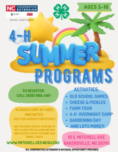 Cover photo for Mitchell County 4-H Summer Programming