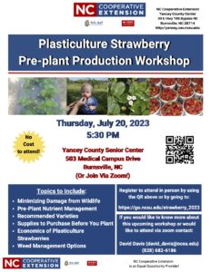 Cover photo for Plasticulture Strawberry Production Program