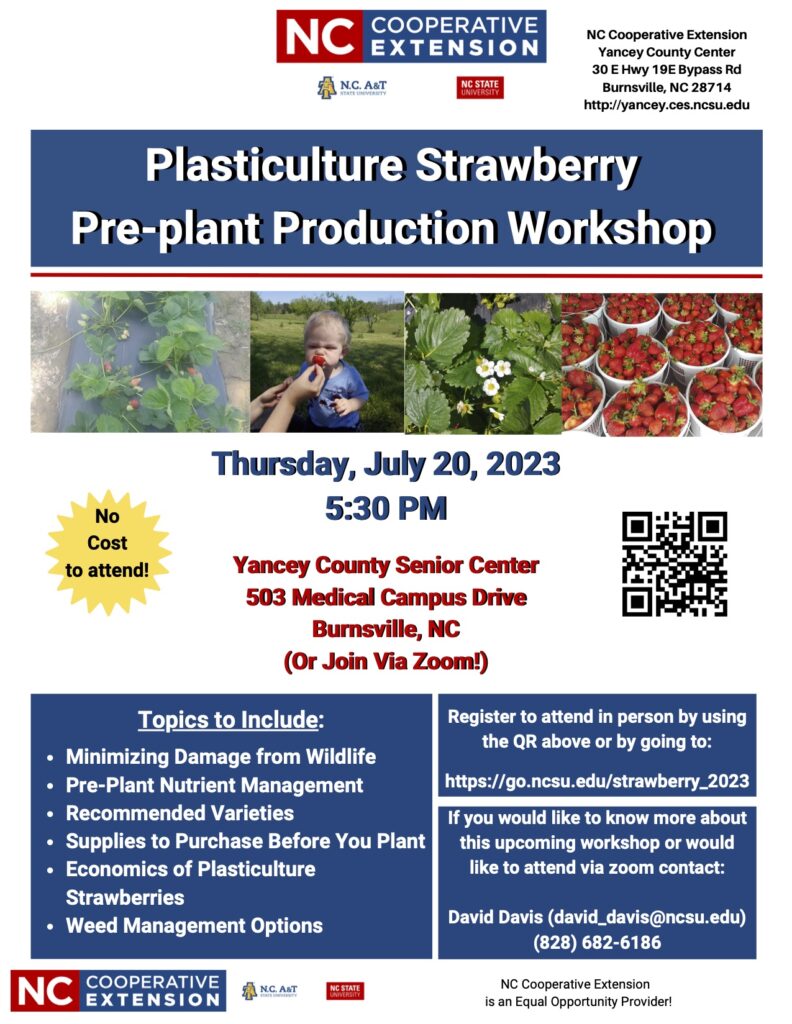 Plasticulture Strawberry Pre-plant Production Workshop