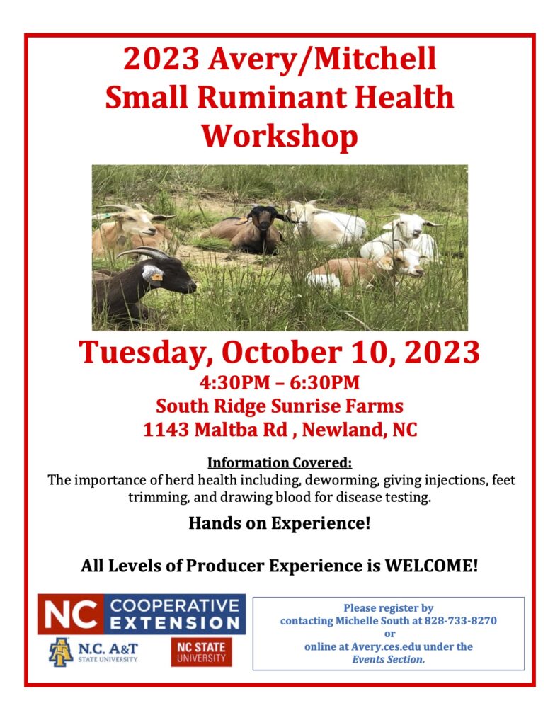 small ruminant health flyer