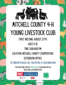 Cover photo for Mitchell County 4-H Young Livestock Club