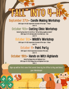 "Fall" into 4-H poster with workshops.